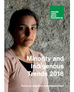 Minority and Indigenous Trends 2018