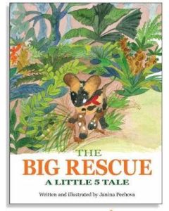 Big Rescue, The