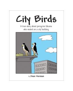 City Birds