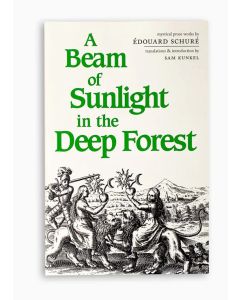 Beam of Sunlight in the Deep Forest, A