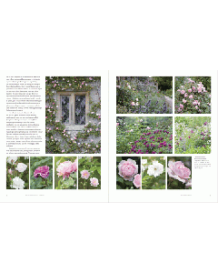 Gardens of Arne Maynard