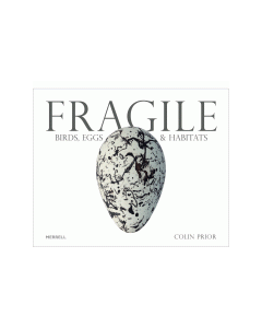 Fragile: Birds, Eggs and Habitats