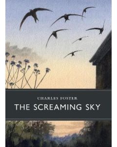 The Screaming Sky