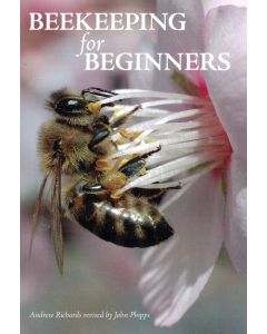 Beekeeping For Beginners