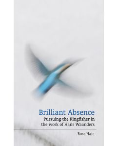 Brilliant Absence