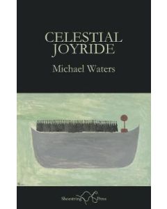 Celestial Joyride