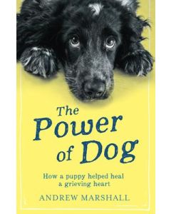 Power of Dog, The