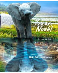 You are Noah! Introduction