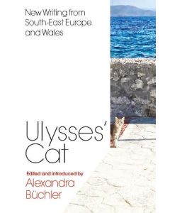 Ulysses's Cat