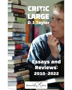 Critic at Large : Essays and Reviews 2010-2022