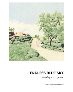 Endless Blue Sky: A Novel by Lee Hyoseok