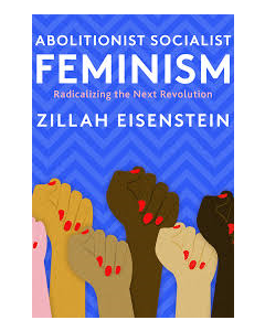 Abolitionist Feminist Socialism