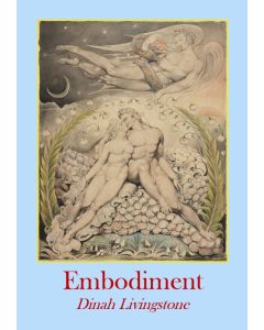 Embodiment