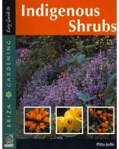 Easy Guide to Indigenous Shrubs