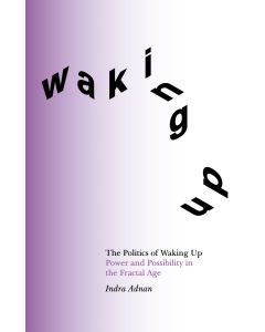 Politics of Waking Up, The: Power and possibility in the