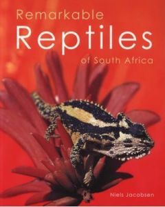 Remarkable Reptiles of South Africa