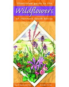 Illustrated Guide to Wildflowers of Northern SA