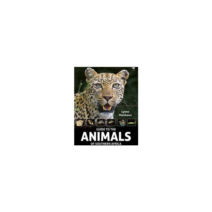 Beginner's Guide to the Animals of Southern Africa, The