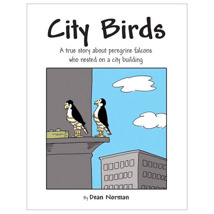 City Birds