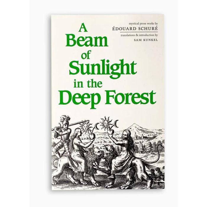 Beam of Sunlight in the Deep Forest, A