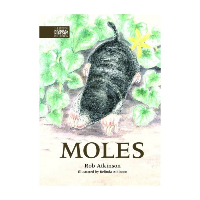 Moles