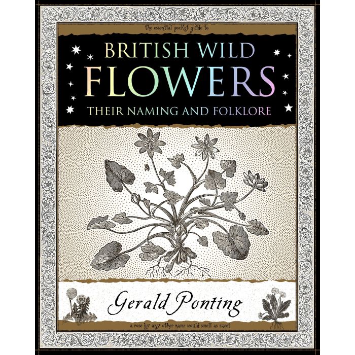 British Wild Flowers: Their Naming and Folklore