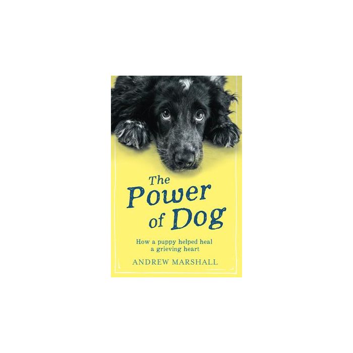 Power of Dog, The