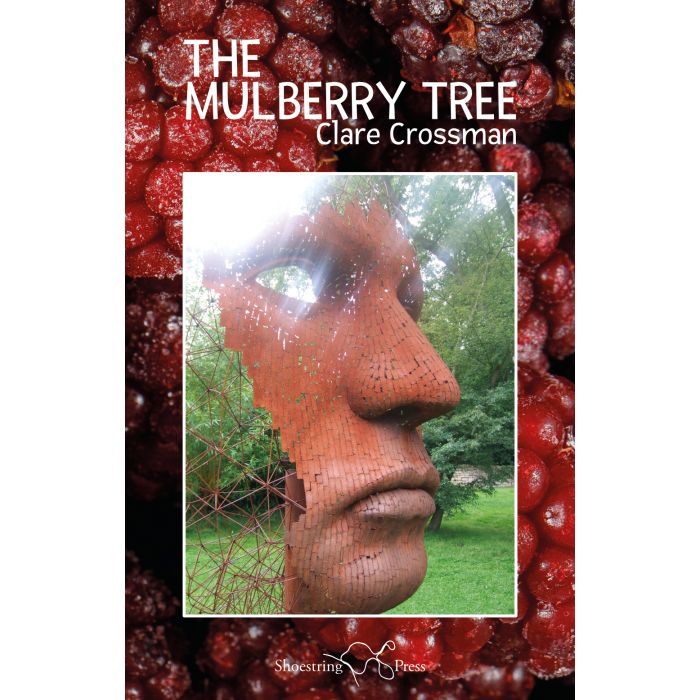 Mulberry Tree, The