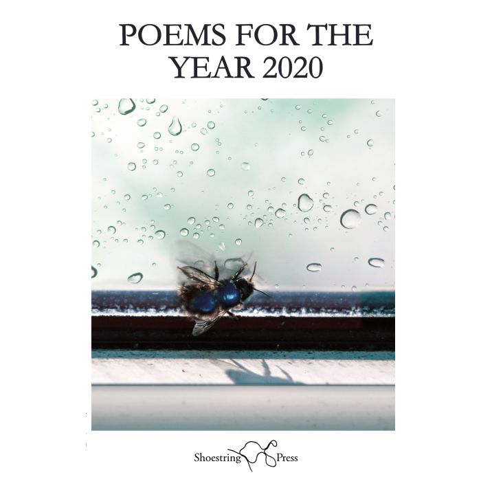 Poems for the Year 2020