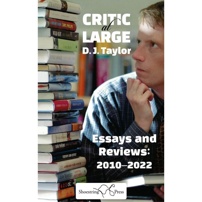 Critic at Large : Essays and Reviews 2010-2022