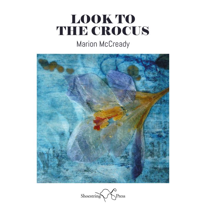 Look To The Crocus