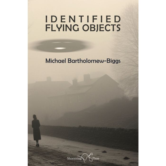 Identified Flying Objects