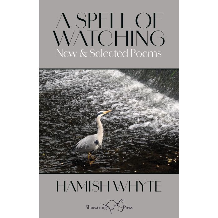 Spell of Watching, A