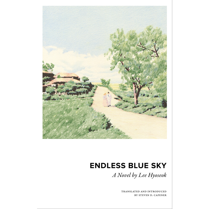 Endless Blue Sky: A Novel by Lee Hyoseok