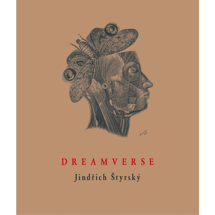 Dreamverse cover