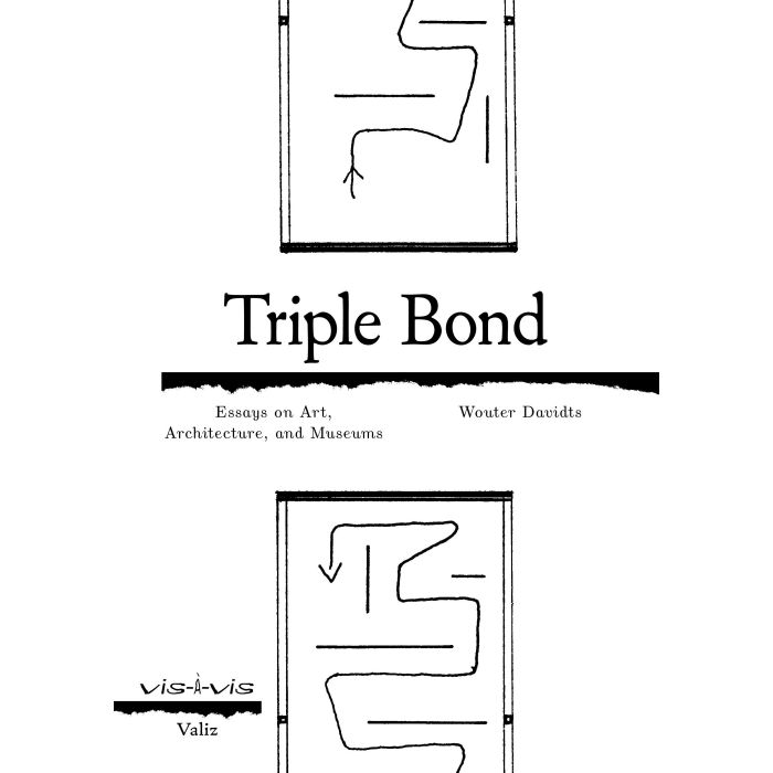 Triple Bond: Essays on Art, Architecture and Museums