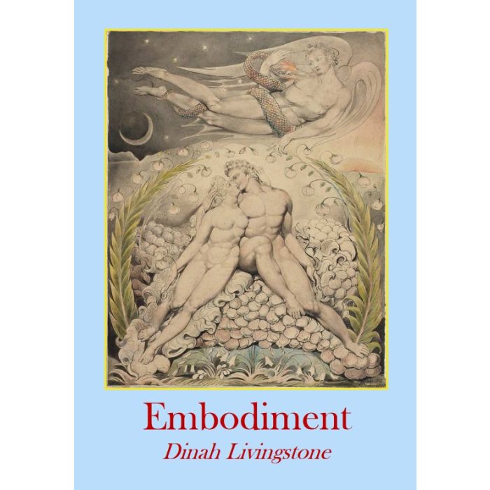 Embodiment