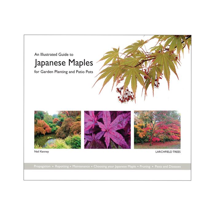 Illustrated Guide to Japanese Maples for Garden Planting and