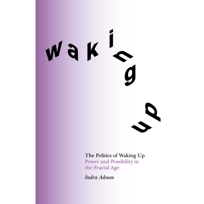 Politics of Waking Up, The: Power and possibility in the