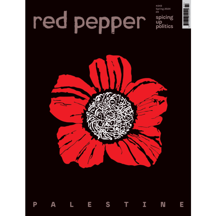 Red Pepper 243 Spring 2024 Palestine