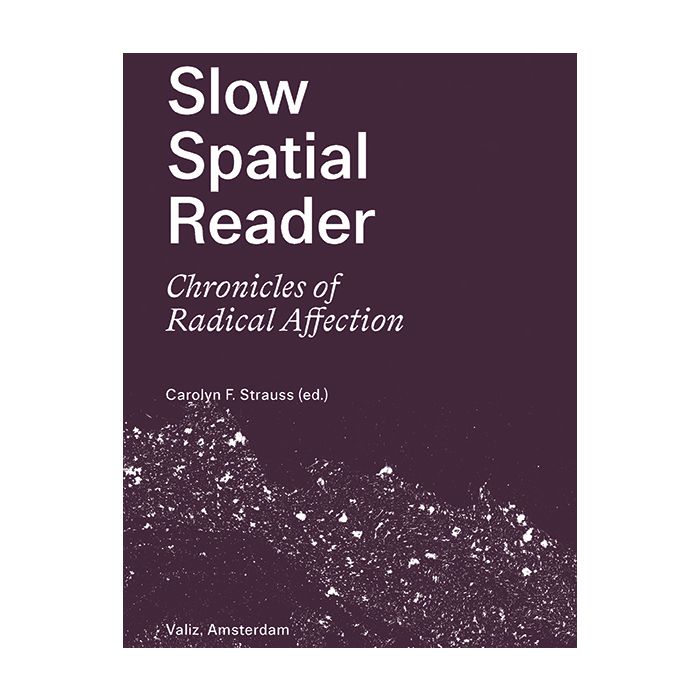 Slow Spatial Reader