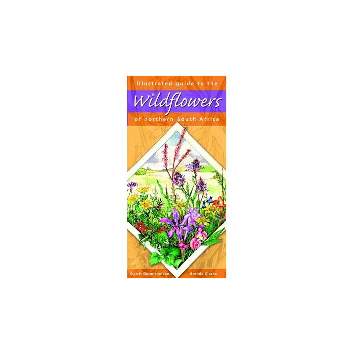 Illustrated Guide to Wildflowers of Northern SA